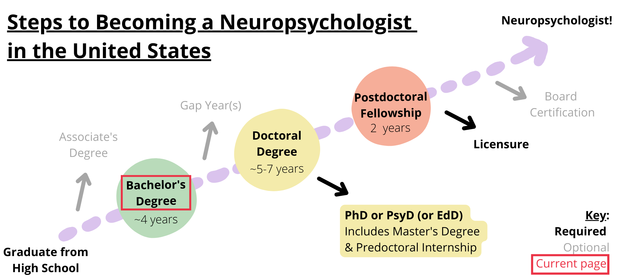 Steps to becoming a neuropsychologist in the United States. Required steps include graduating from high school, obtaining a bachelorâ€™s degree, obtaining a doctoral degree like a PhD, PsyD, or EdD, completing a postdoctoral fellowship, and licensure. Optional steps include obtaining an associateâ€™s degree, taking a gap year, and board certification. You are on the step bachelor's degree.
