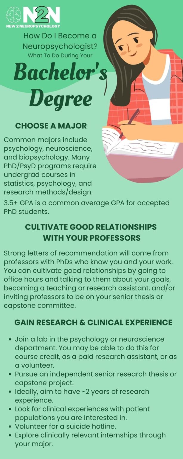 What to do during your bachelorâ€™s degree. Some undergraduate majors for neuropsychologists include psychology, neuroscience, and biopsychology. Many PhD/PsyD programs will require undergraduate courses in statistics; clinical, social, and developmental psychology; and research methods/design. Earn good grades in your classes (3.5+ GPA is a common average GPA among accepted PhD students).