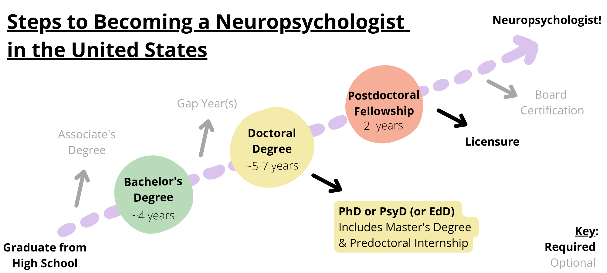 Steps to becoming a neuropsychologist in the United States. Required steps include graduating from high school, obtaining a bachelorâ€™s degree, obtaining a doctoral degree like a PhD, PsyD, or EdD, completing a postdoctoral fellowship, and licensure. Optional steps include obtaining an associateâ€™s degree, taking a gap year, and board certification.