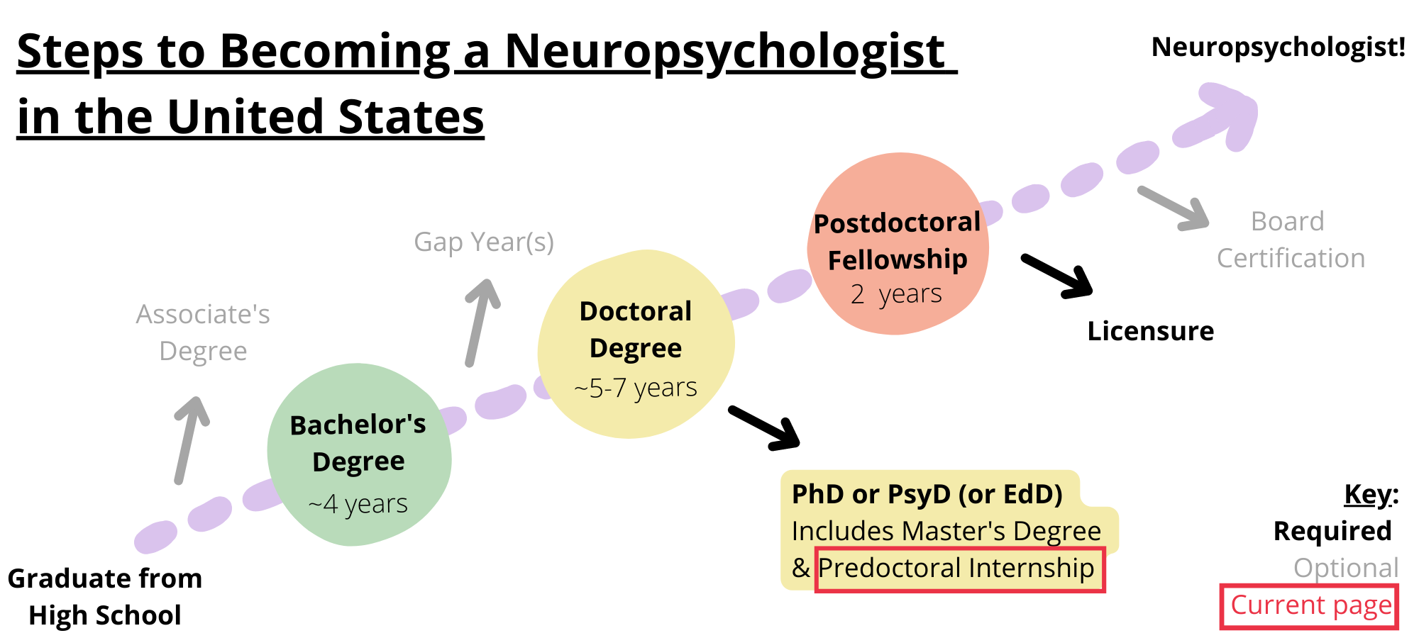Steps to becoming a neuropsychologist in the United States. Required steps include graduating from high school, obtaining a bachelorâ€™s degree, obtaining a doctoral degree like a PhD, PsyD, or EdD, completing a postdoctoral fellowship, and licensure. Optional steps include obtaining an associateâ€™s degree, taking a gap year, and board certification. You are on the step predoctoral internship, which is part of obtaining a doctoral degree.