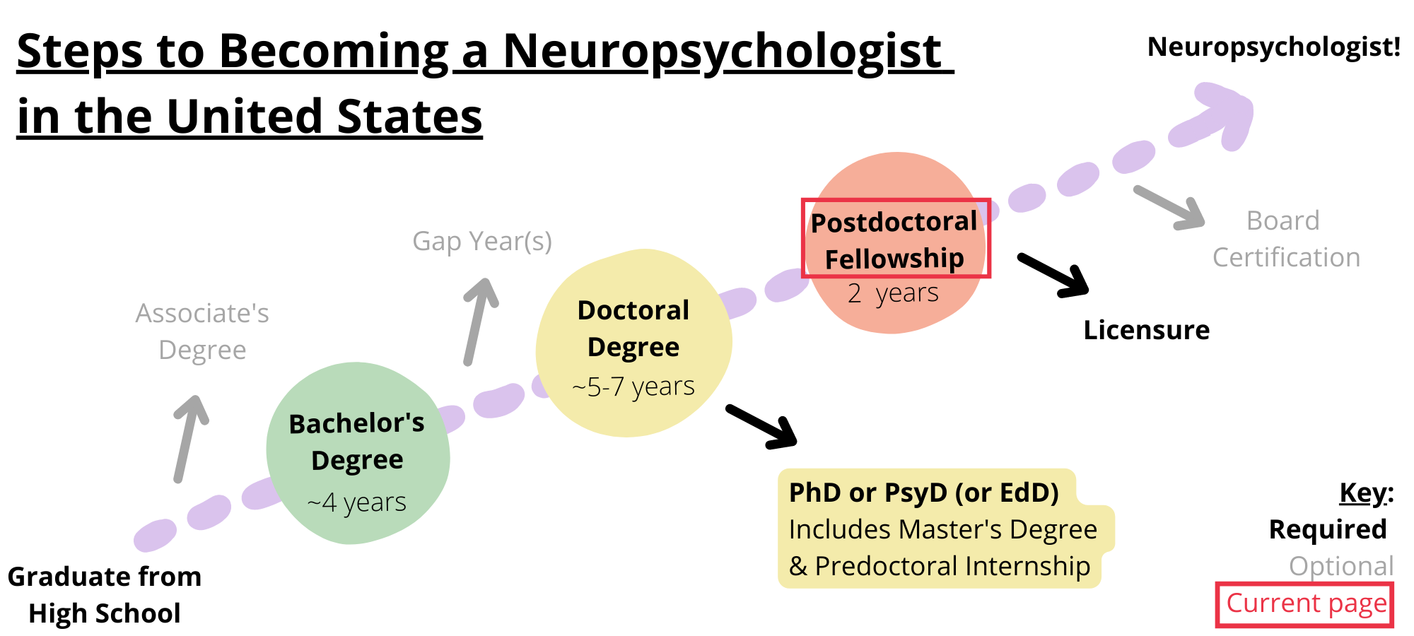 Steps to becoming a neuropsychologist in the United States. Required steps include graduating from high school, obtaining a bachelorâ€™s degree, obtaining a doctoral degree like a PhD, PsyD, or EdD, completing a postdoctoral fellowship, and licensure. Optional steps include obtaining an associateâ€™s degree, taking a gap year, and board certification. You are on the step postdoctoral fellowship